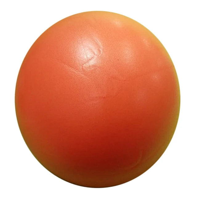 Your Journey Balance Training Ball